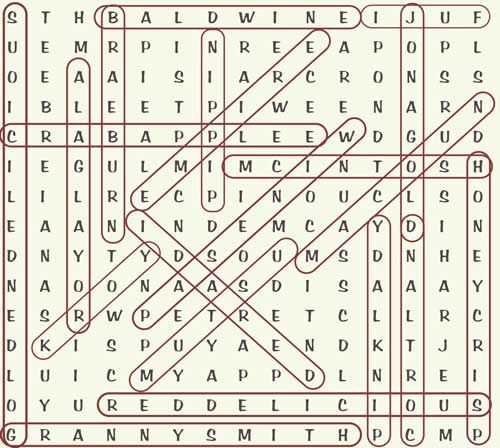 WordSearch