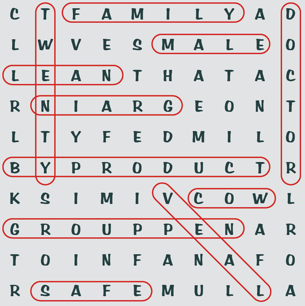 Veal-CrosswordPuzzle