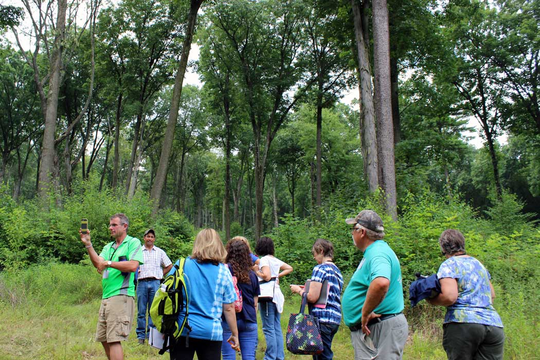 Educator's Ag Institute attendees learn about forestry agriculture in PA