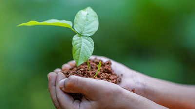sprout in dirt being held in two hands