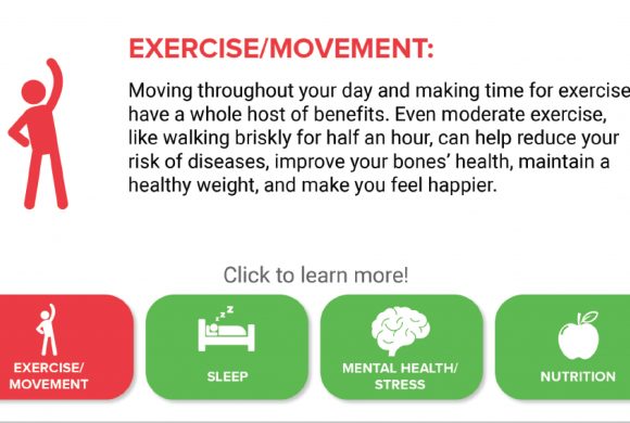 Exercise/movement best practices graphic