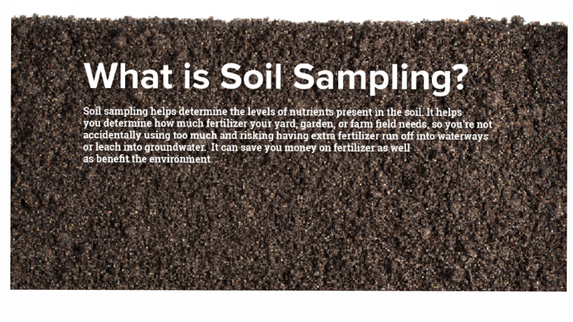Environment and Soil Activity
