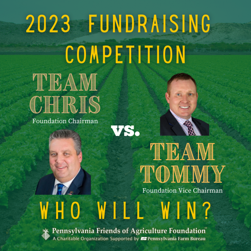 Foundation Launches Fundraising Competition