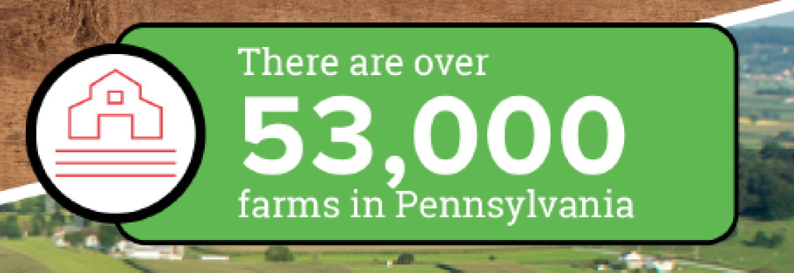 farms in PA fact