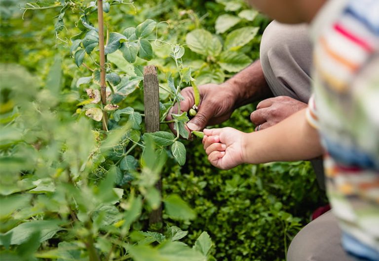 Teacher and child in garden-PA Network